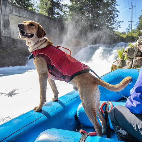 Dog wearing a red kurgo life jacket with black trim made of ripstop material on a blue raft perfect for fit active dogs