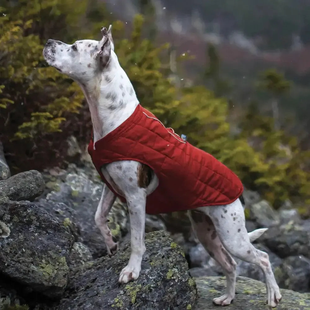Kurgo Loft Jacket Chili Red/Charcoal X Large Chili Red/Charcoal Dog Coat