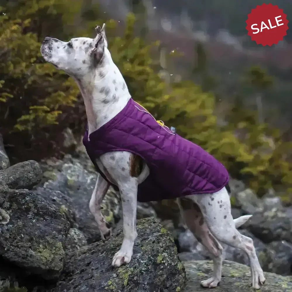 Kurgo Loft Jacket Deep Violet/Grey X Smallmall Deep Violet/Grey Dog Coat