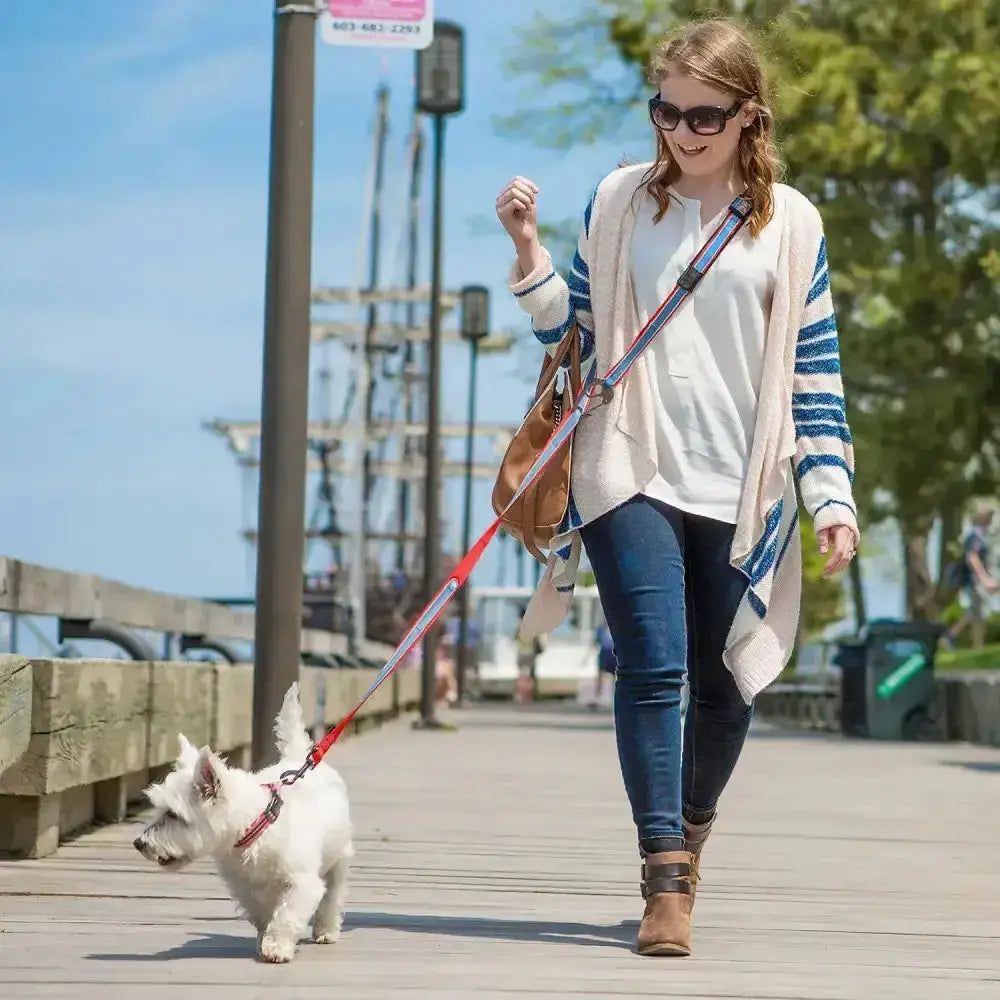 White west highland terrier wearing red collar and kurgo reflect & protect quantum lead leash for safety walks