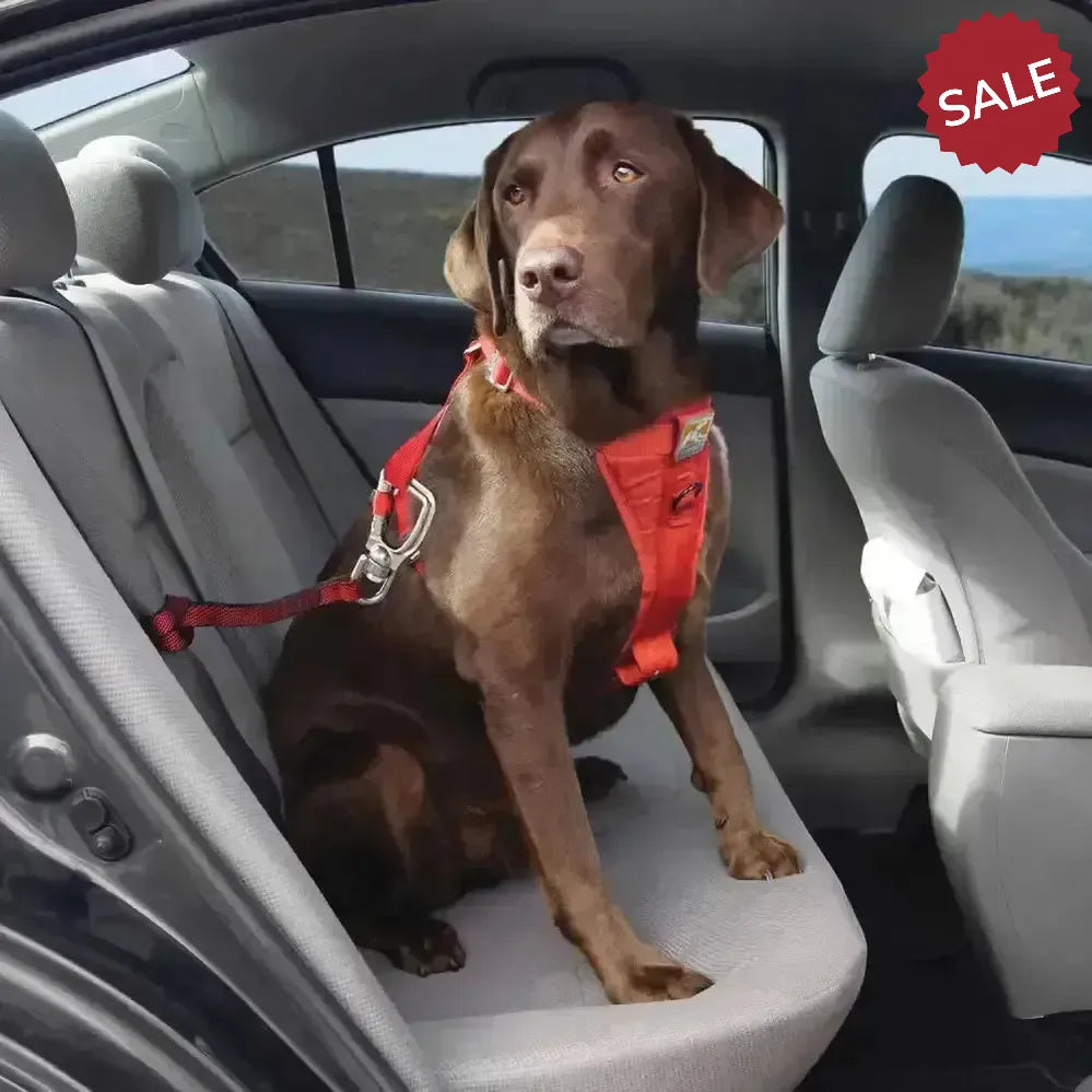 Kurgo Swivel Tether Small Red Dog Lead