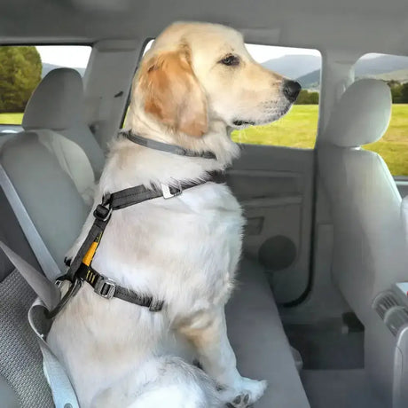 Black and yellow kurgo tru-fit smart crash tested harness with padded chest plate and adjustable straps with metal buckles