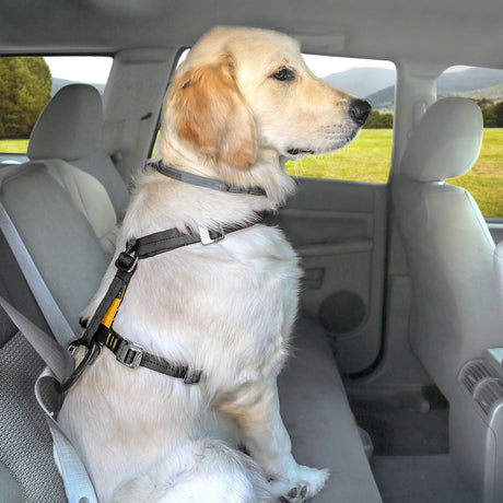 Kurgo Tru-Fit Smart Harness C/W Seatbelt Tether Dog Harness Large (22.5 - 36 Kg) Black Barnstaple Equestrian Supplies