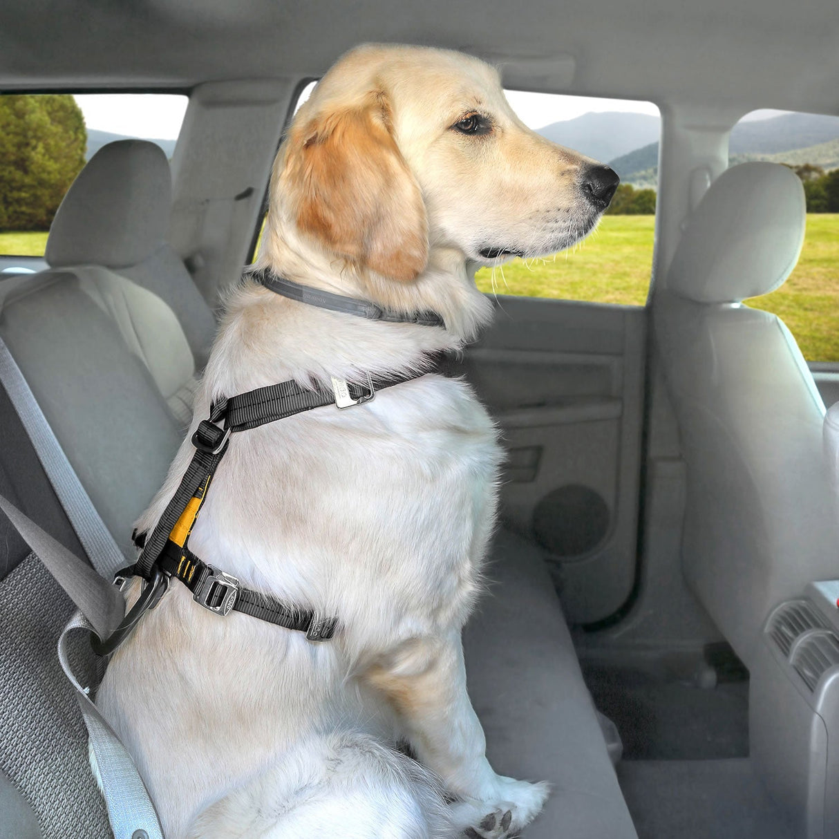 Kurgo Tru-Fit Smart Harness C/W Seatbelt Tether Dog Harness Large (22.5 - 36 Kg) Black Barnstaple Equestrian Supplies