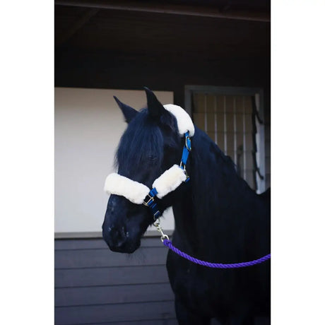 Blue leather lambswool headstall set with white fleece padding and purple rope lead perfect stall set including halter