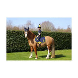 A child wearing navy riding gear sits on a chestnut horse with a lancelot fly veil horse ear bonnet in dark blue