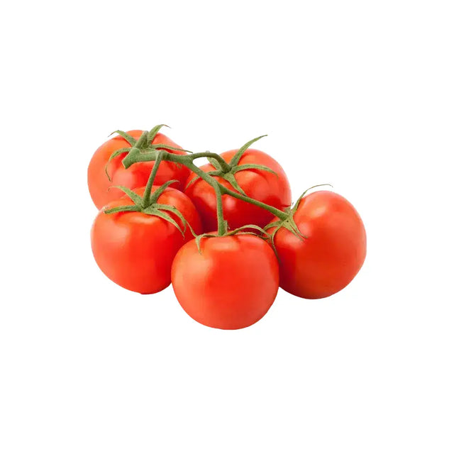 A cluster of vibrant red large vine tomatoes still attached to their green vine perfect for fresh cooking