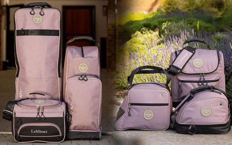 Lavender lemieux equestrian gear set with black accents and gold-toned logos