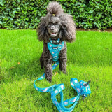 Blue harness with white sloth pattern and matching leash for black poodle lazy sloth collars mint green pup chic