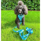 Lazy Sloth Puppy Harness – XXS Size for Tiny Breeds 🦥💚 XXS Pet Products