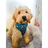 Lazy Sloth Puppy Harness – XXS Size for Tiny Breeds 🦥💚 XXS Pet Products