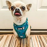 Teal sloth patterned lazy sloth puppy harness xxs with black pup chic label for tiny breeds