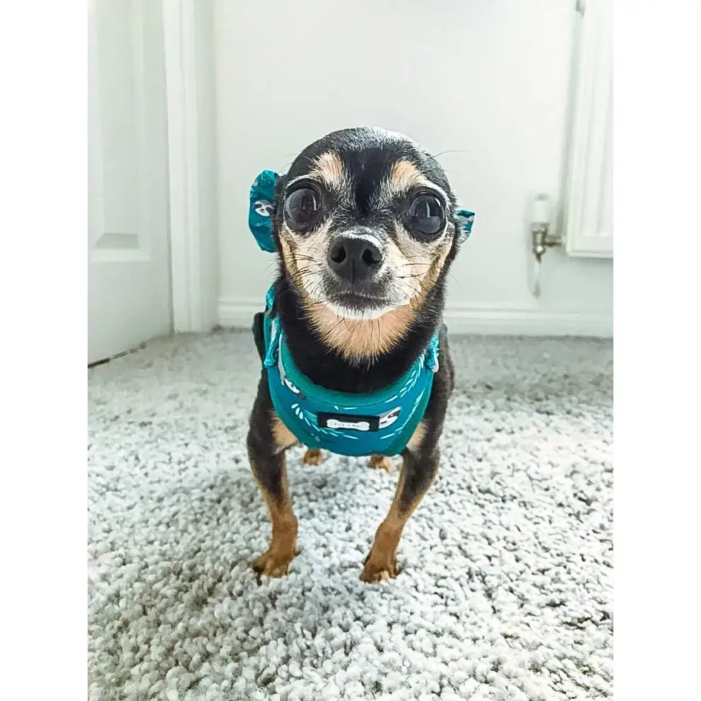 Teal patterned lazy sloth puppy harness xxs with bone design for tiny breeds showing the back side