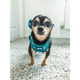 Teal patterned lazy sloth puppy harness xxs with bone design for tiny breeds showing the back side