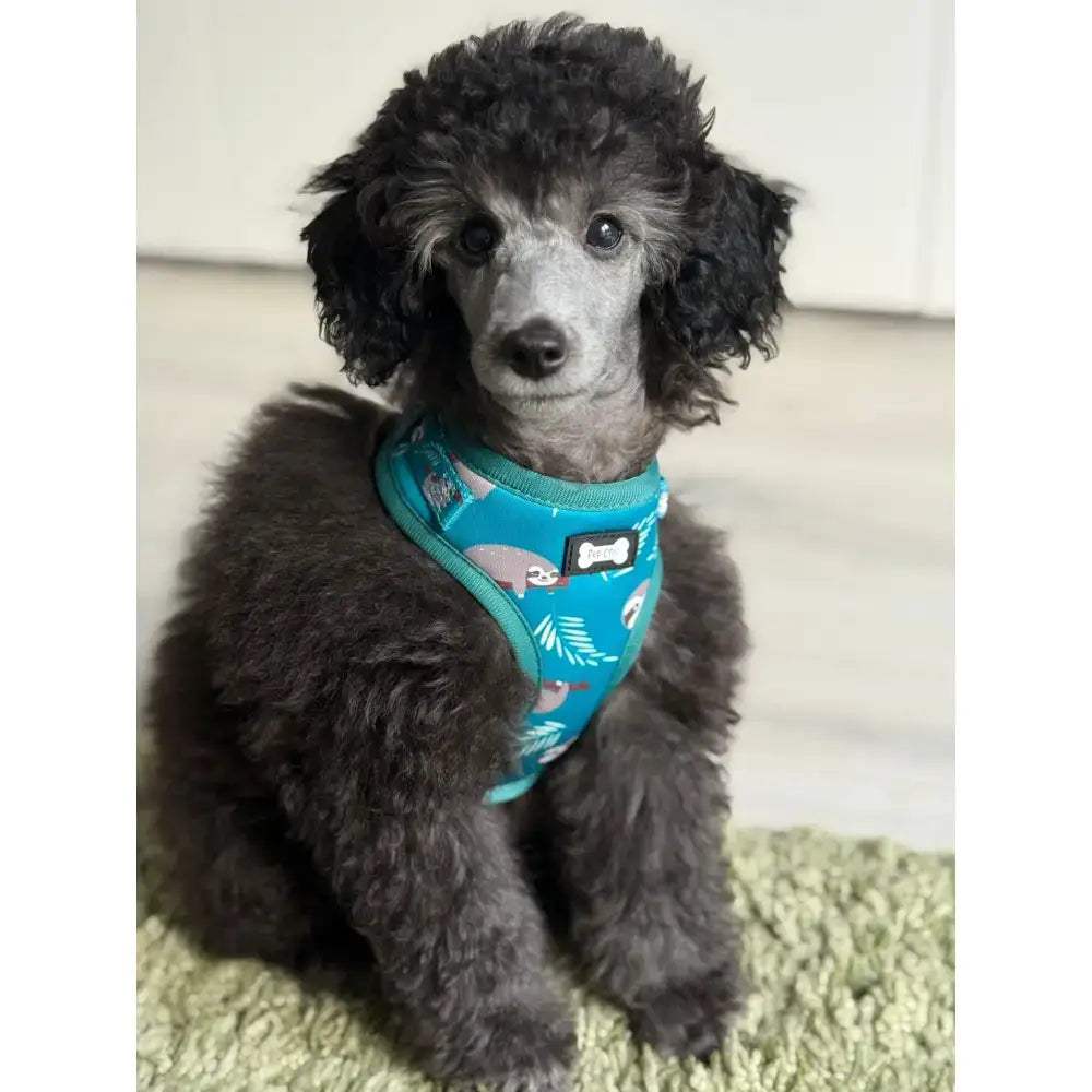 Teal lazy sloth puppy harness xxs with playful sloth leaf pattern and adjustable design for tiny breeds comfort