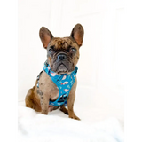 Lazy Sloth Tactical Dog Harness Xs 