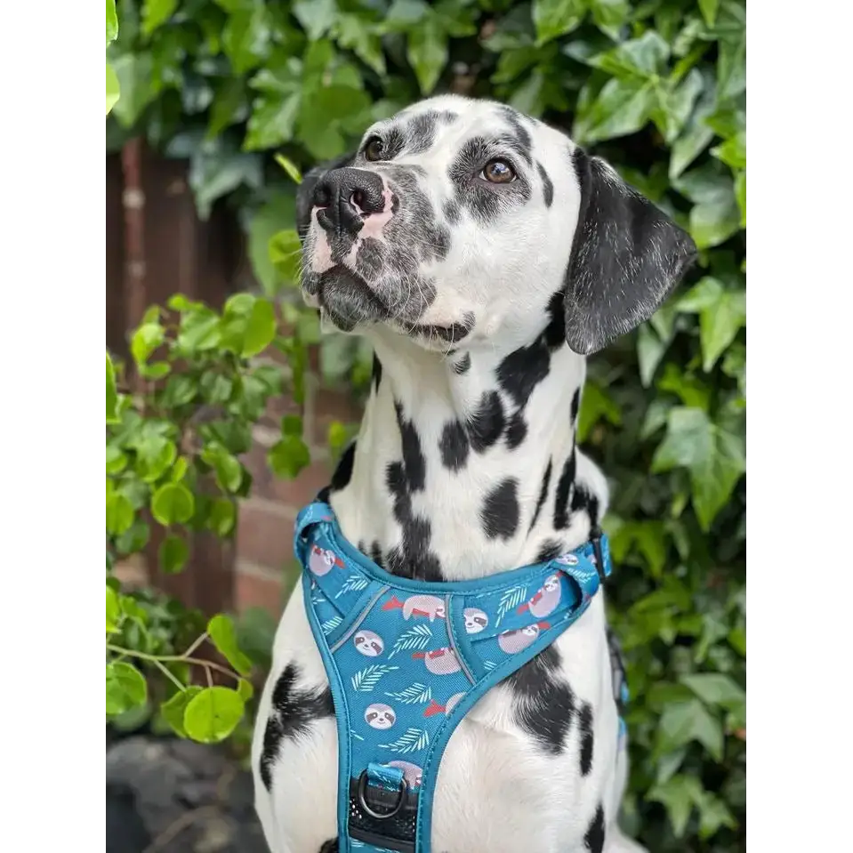 Lazy Sloth Tactical Dog Harness Xs 