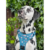 Lazy Sloth Tactical Dog Harness Xs 