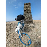 Black and white spotted dog wearing a blue patterned lazy sloth tactical dog harness with matching leash