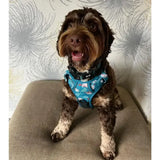 Lazy sloth tactical dog harness in teal with adjustable straps and playful white and pink seashell pattern