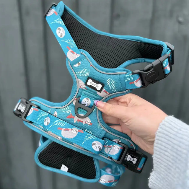 Turquoise lazy sloth tactical dog harness with playful sloth pattern, black mesh padding, and adjustable buckles