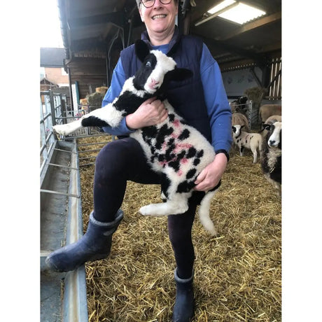A black and white spotted lamb with pink patches next to navy lbc ultralight ankle boots made with direct injection moulding