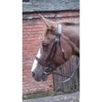 Brown leather hunt bridle with silver hardware featuring a hunter style browband for economy hunt bridle use