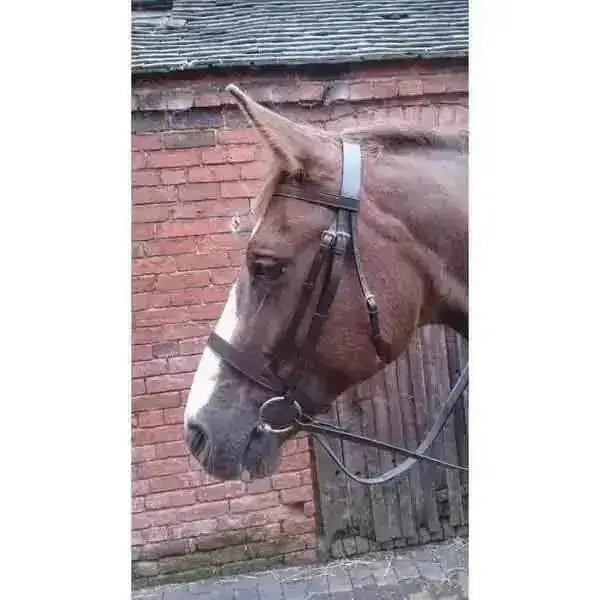 Brown leather hunt bridle with silver hardware featuring a hunter style browband for economy hunt bridle use