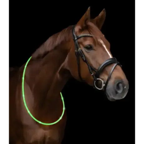 LED Neck Strap For Horses Green Hi-Vis