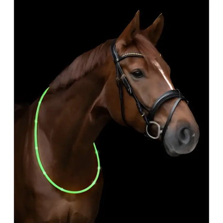 Brown horse wearing a glowing green led neck strap perfect for visibility at night or low light conditions