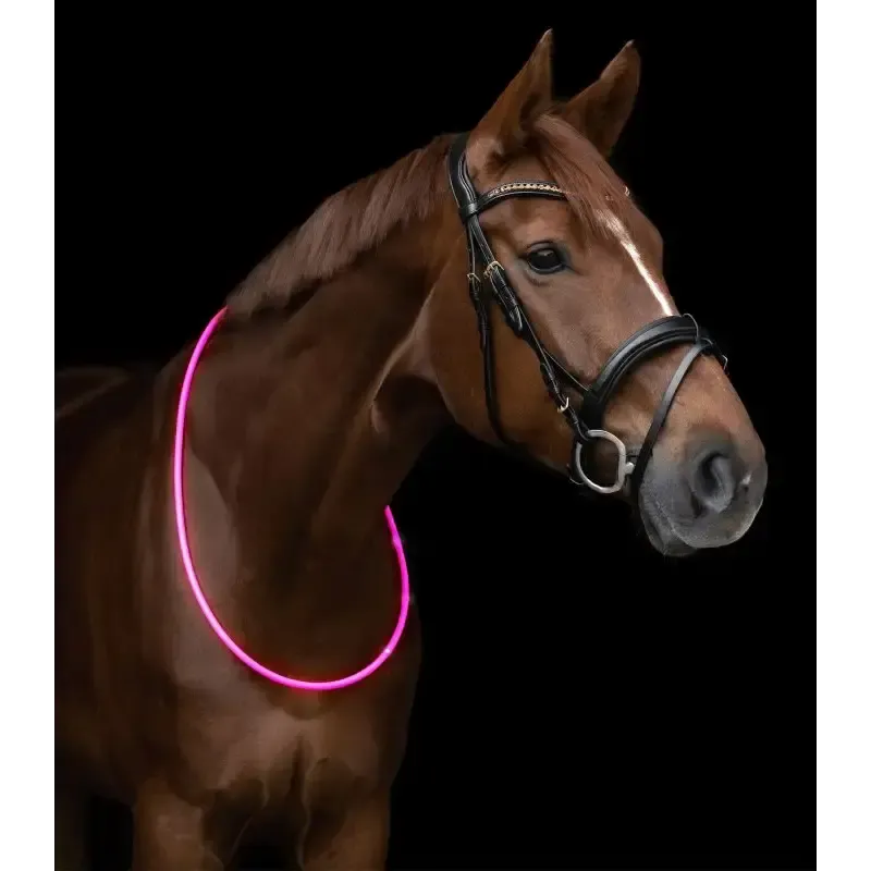 LED Neck Strap For Horses Pink Hi-Vis