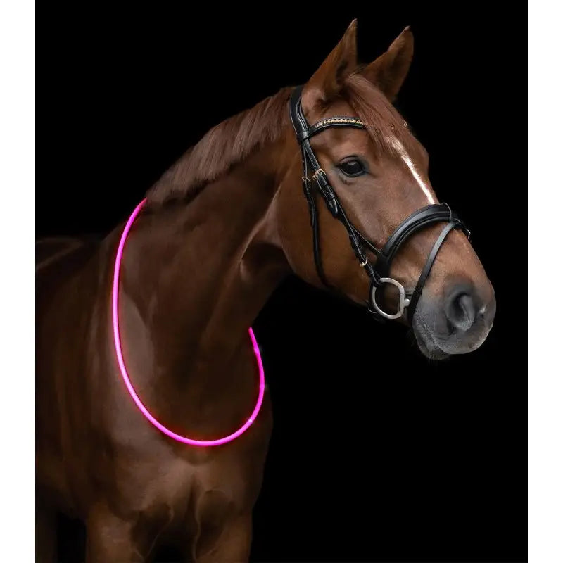A glowing pink led neck strap worn around a brown horse neck for safety and visibility at night