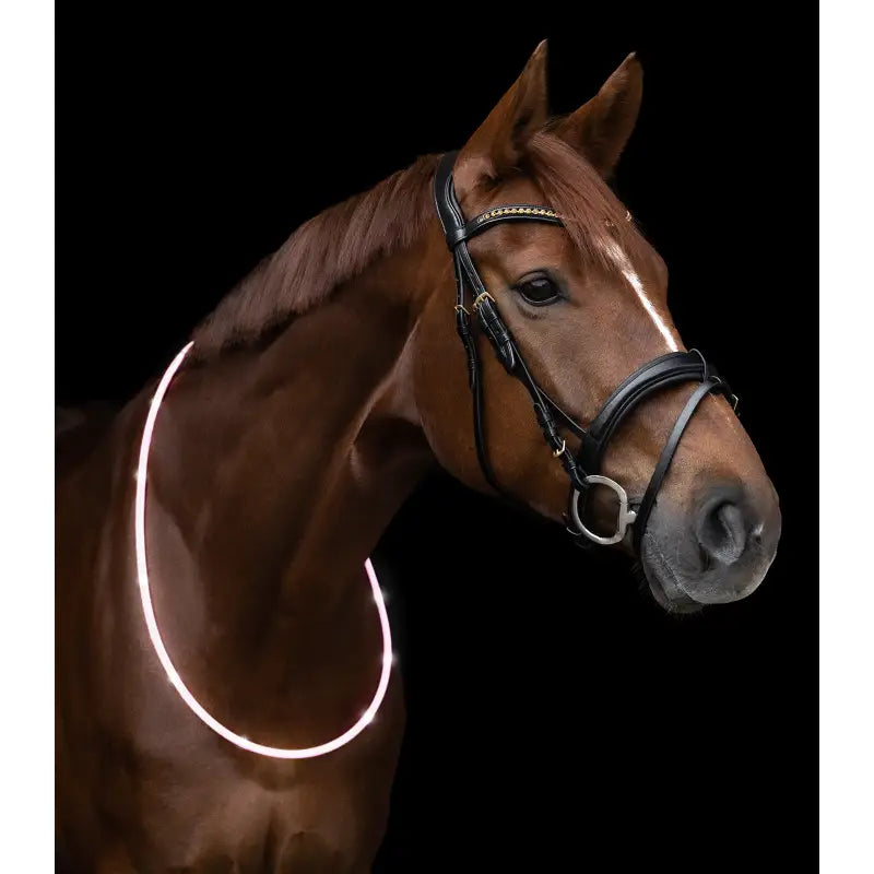 A sleek black leather led neck strap for horses with silver hardware and decorative browband for visibility