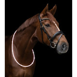 A sleek black leather led neck strap for horses with silver hardware and decorative browband for visibility