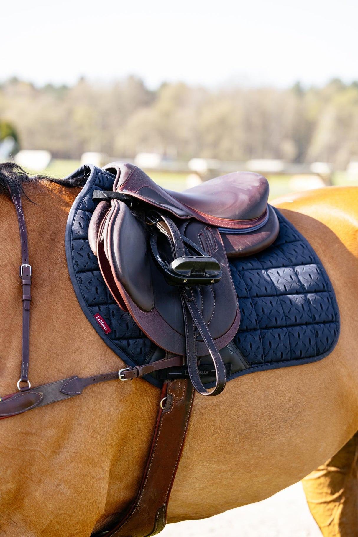 LeMieux 3D Mesh Self-Cool Eurojump Square Navy Navy Small/Medium Saddle Pads