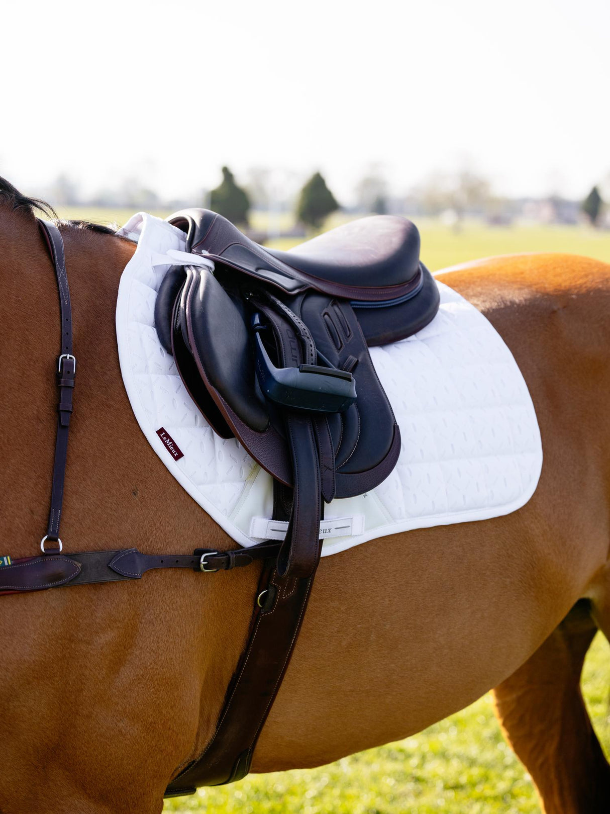 LeMieux 3D Mesh Self-Cool Eurojump Square White White Small/Medium Saddle Pads
