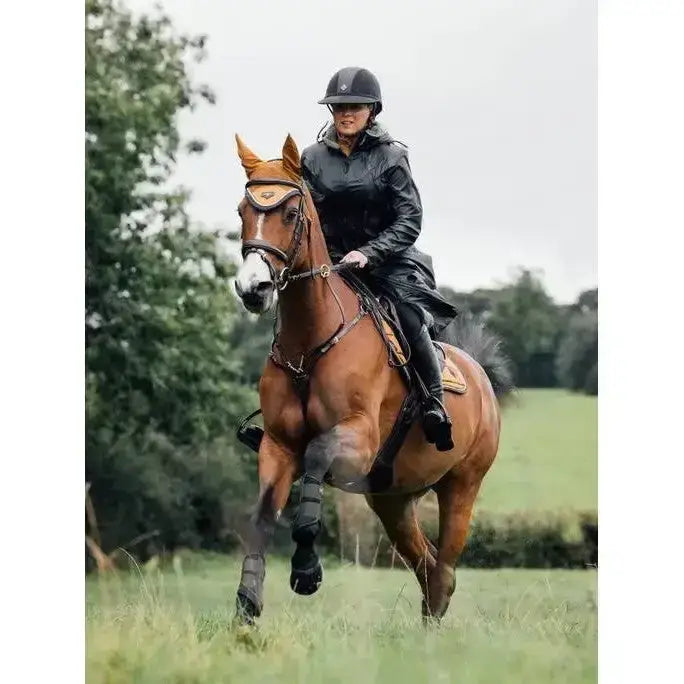 Brown horse with a white muzzle wearing lemieux all elements coat black and protective leg wraps for riding