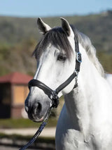 LeMieux Anatomic Headcollar Black Cob Black Headcollars