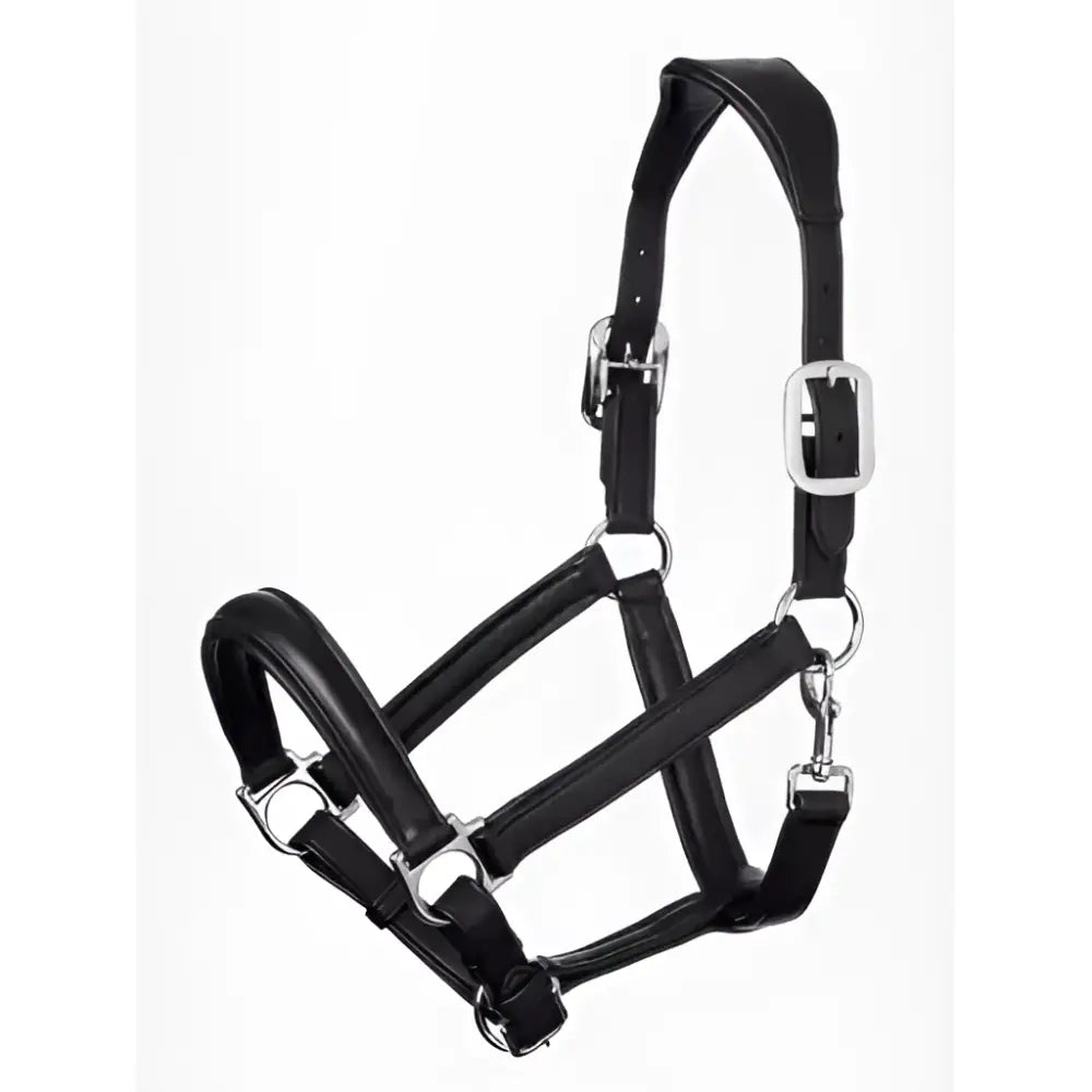 Black leather padded lemieux anatomic headcollar with silver buckles and anatomically shaped headpiece for horses
