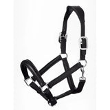 Black leather padded lemieux anatomic headcollar with silver buckles and anatomically shaped headpiece for horses