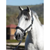 Black leather LeMieux anatomic headcollar with silver metal buckle and anatomically shaped padded leather headpiece