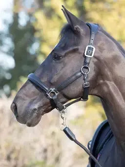 LeMieux Anatomic Headcollar Black Cob Black Headcollars