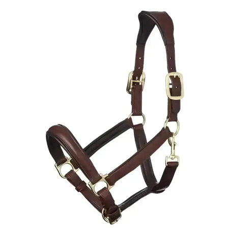Brown leather lemieux anatomic headcollar with gold-toned buckles and rings padded leather headcollar brown