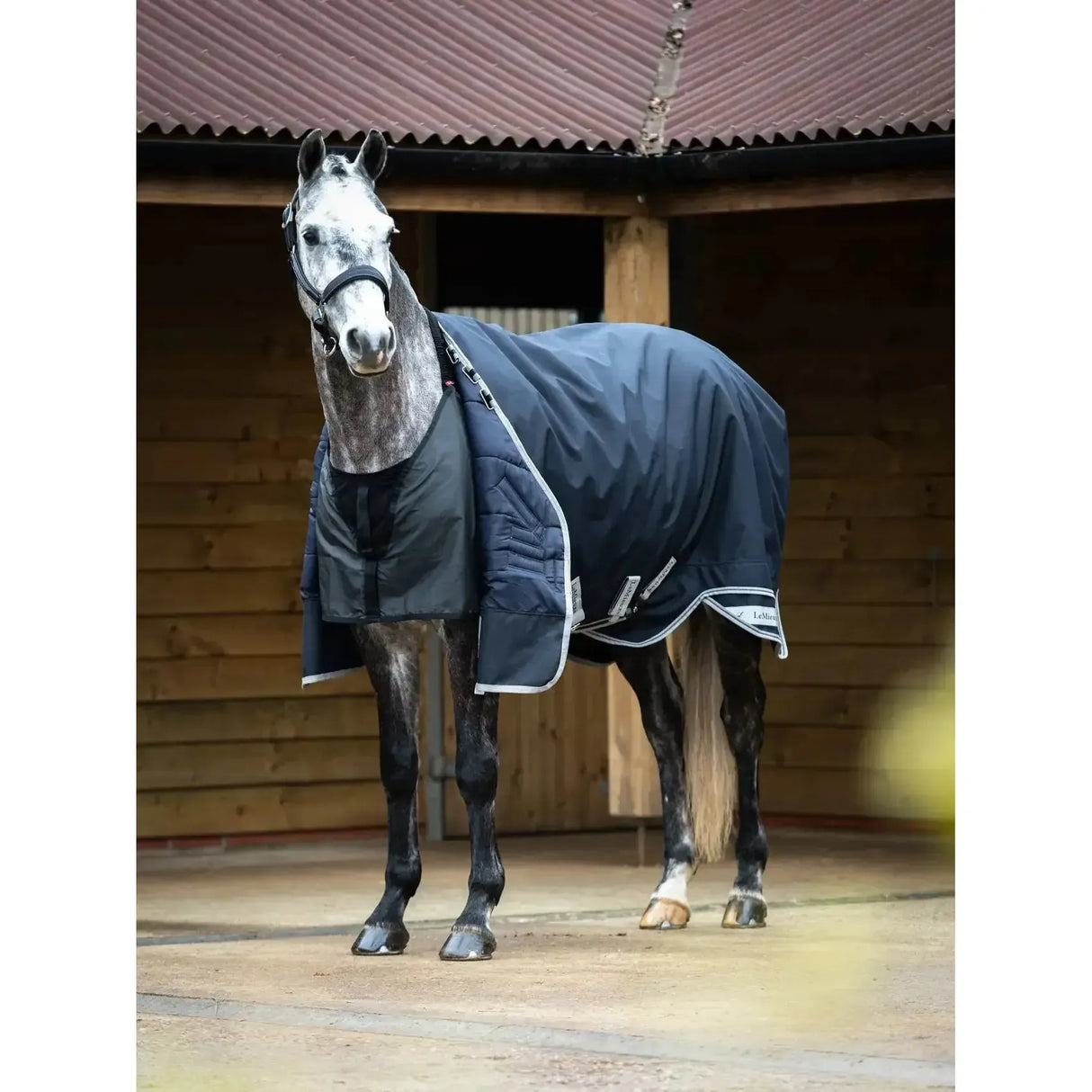 LeMieux Anti Rub Bib Black XX-Small Black Bibs & Neck Covers