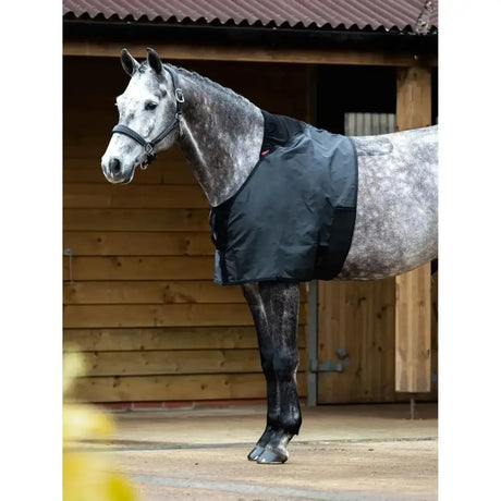 Black lemieux anti rub bib waterproof horse blanket with adjustable straps and red logo with wither guard detail