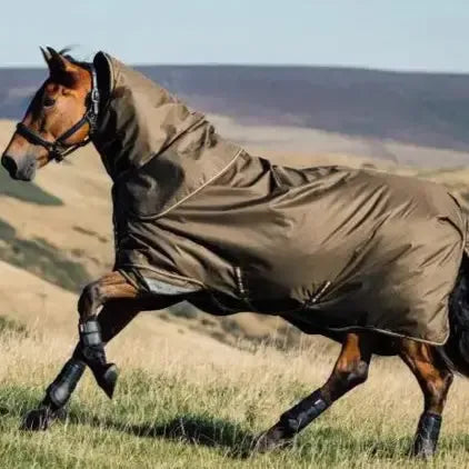Lemieux Arika 600D Ripstop 0g Turnout Rug Alpine 4'9 Alpine Turnout Rugs