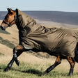 Brown horse wearing lemieux arika 600d ripstop olive green waterproof turnout rug alpine with leg wraps