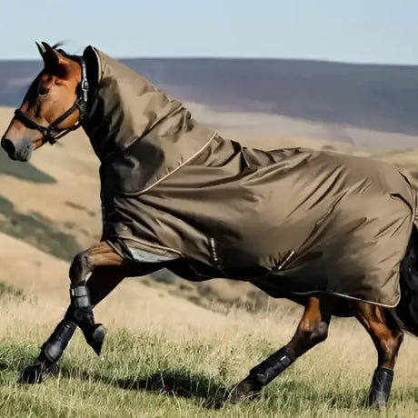 Brown horse wearing lemieux arika 600d ripstop olive green waterproof turnout rug alpine with leg wraps
