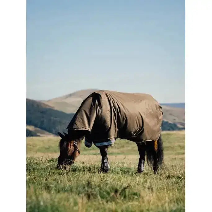 Brown lemieux arika 600d ripstop turnout rug alpine with hood covering head and neck for warmth and protection