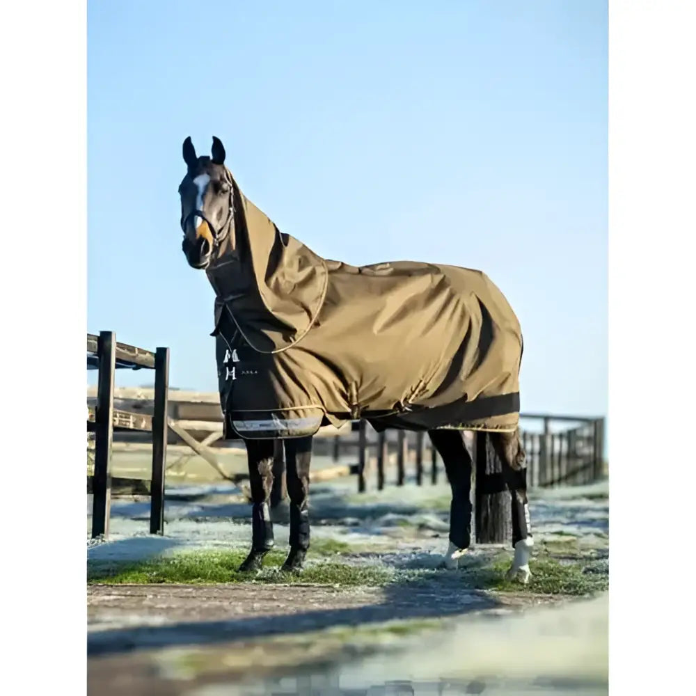 Brown lemieux arika 600d turnout rug alpine with black trim and logo made of ripstop for equine protection